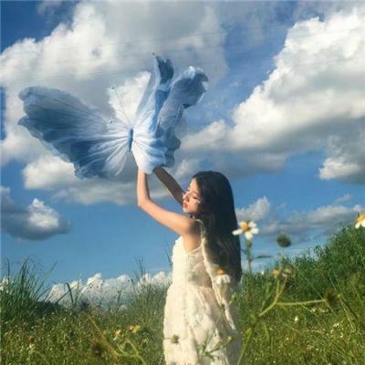 万物生灵第四季