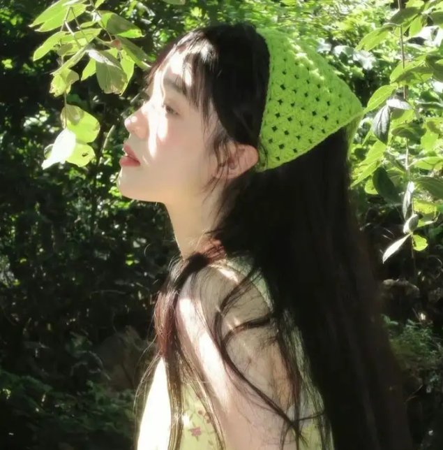 吉娃娃