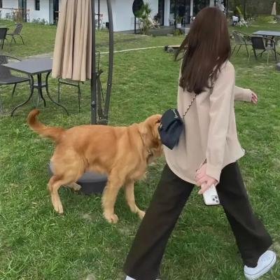 火上女人